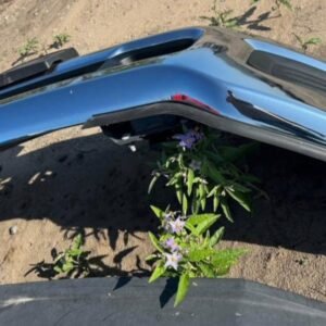 2019-2024 Ram 3500 2500 Front Bumper Chrome OEM - Factory Take-Off