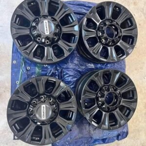 18 inch Ford Tremor Wheels Off a 2022 F-250 with Caps and Lug Nuts