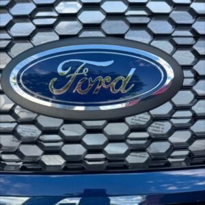 2018–2020 Ford F-150 Factory OEM Front Radiator Grille Assembly