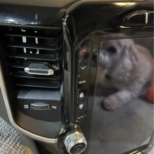 2019–2025+ Ram 1500 & Heavy Duty Genuine OEM 12-Inch Uconnect Infotainment Screen & Full D