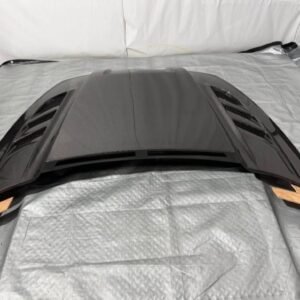 Authentic ViS Racing 2002–2008 Ram "Terminator" Premium Carbon Fiber Engine Hood Panel
