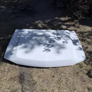 Body Panel