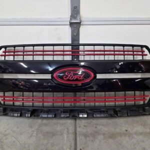 2018–2020 FORD F-150 LARIAT OEM GRILLE – GENUINE FACTORY TAKE-OFF