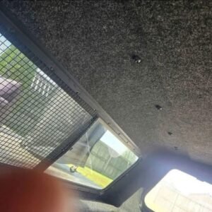 F150 Truck Cap